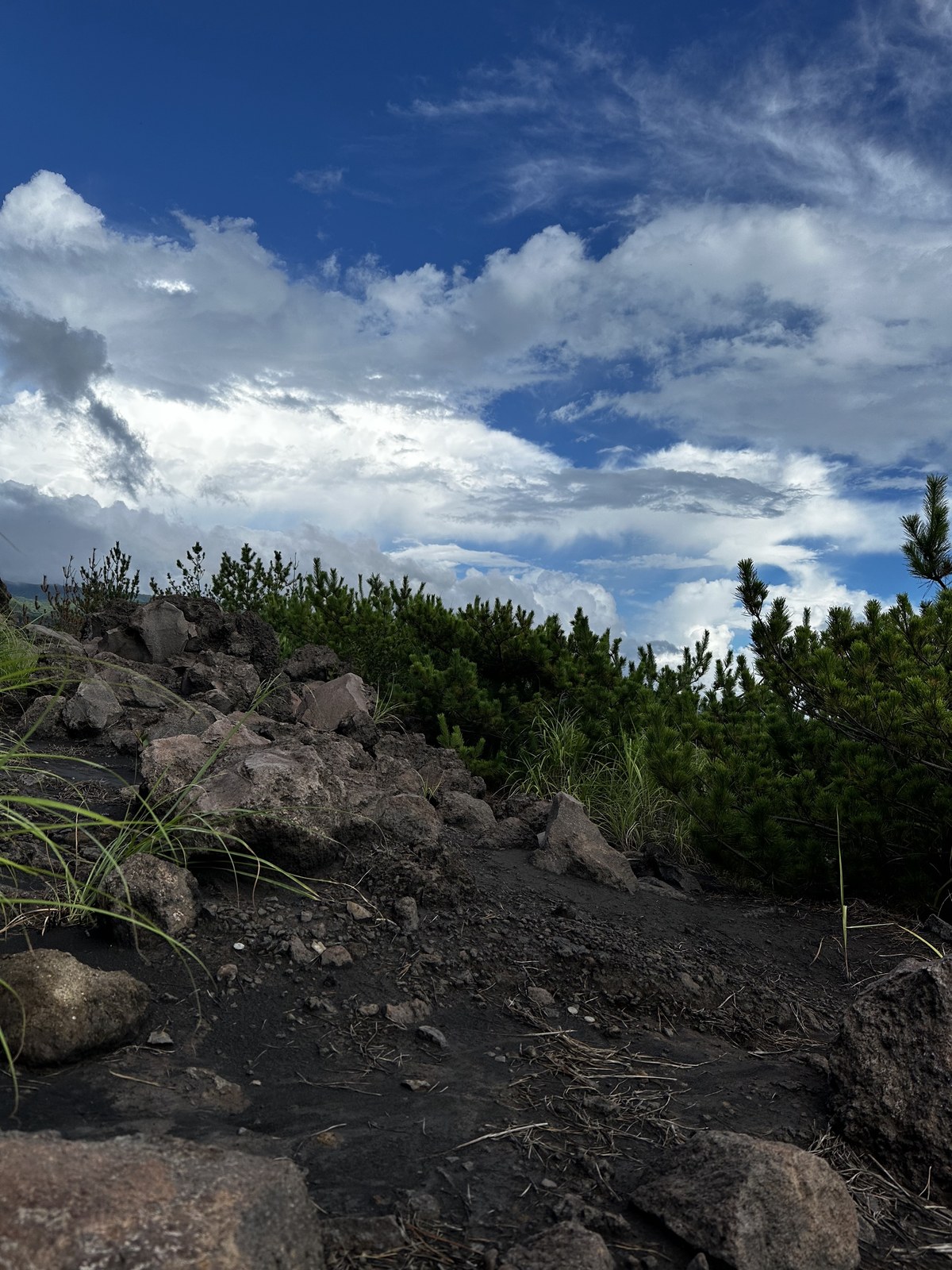 有村溶岩展望所の火山灰が積もった地面